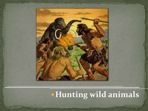 Physical education in primitive societies  .